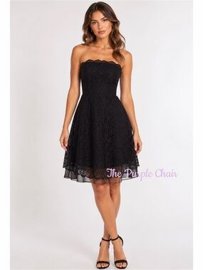 JOIE NWT Caviar Black Lace Overlay NYOMI Organza Hem Strapless Dress S